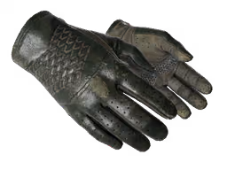 ★ Driver Gloves | Racing Green (Well-Worn)